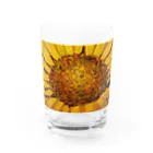 TOMOYA MURAKAMIのSUN FLOWER  Water Glass :front