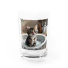 森の雑貨屋の洗面器で遊んでいる子猫 グラス前面