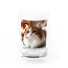 猫　ねこグッズギャラリーのふわふわの三毛猫 Water Glass :front