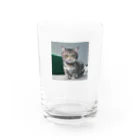 碧月の猫 Water Glass :front