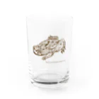 もえかい屋のBarbourula kalimantanensis Water Glass :front