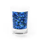 オンラインショップイエローリーフの鮮やかな青色の花　ネモフィラ グラス前面