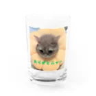 KONEKO_NEKOのありがとニャンコ Water Glass :front