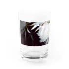 nuan.のげっかびじん Water Glass :front