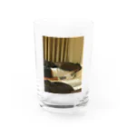 ヘルニアのマクラ寿司 Water Glass :front