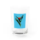 CALAKUEN(SOIL)のTulipa cv. lambada Water Glass :front