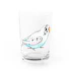 Lily bird（リリーバード）のセキセイインコのピーコちゃん Water Glass :front