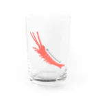 いづものみせの姿勢のいいエビ Water Glass :front