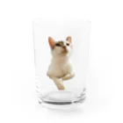 Norinyansの上から目線ミミちゃん Water Glass :front