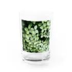 8216vividの梅花空木 Water Glass :front