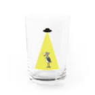 Panda factoryのUFOに連れていかれるハシビロコウ Water Glass :front