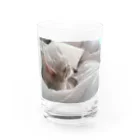 rikkyo_lgbtnizaのねこ Water Glass :front