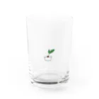 rkkのソテツ Water Glass :front