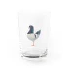 nebulianの鳩のグッズ Water Glass :front