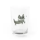 Qちゃんショップのボーダーコリーがいっぴき Water Glass :front