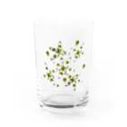 かわず屋のヘツカリンドウ Water Glass :front