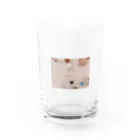 架空のお店の朝ごはん Water Glass :front