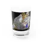 Print items/山中綾子のおくりもの（限会） Water Glass :front