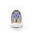 Varioustorm officialのVarioustorm official Water Glass :front