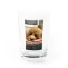 08gum20のラブラドゥードル Water Glass :front