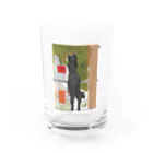 樽猫堂  安部円子のそと見る猫 Water Glass :front