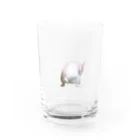 フレンチブルドッグうぱのいきむフレンチブルドッグ(リアル) Water Glass :front