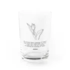 ampluieのlove. Water Glass :front