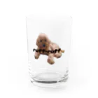 srgmanのruff-ruff  Water Glass :front