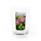 飼育係のFlower Water Glass :front