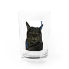 Chrisの猫舌さん用 Water Glass :front