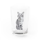 ちばっちょ【ち畳工房&猫ねこパラダイス】のトラ猫トラ君 Water Glass :front