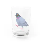 たかはらの歩いてる鳩 Water Glass :front