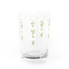 しまのなかまfromIRIOMOTEの西表島の白い花（サガリバナ） Water Glass :front