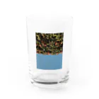 脳海の春の狂気 Water Glass :front