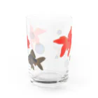 チョモランマリの金魚 Water Glass :front