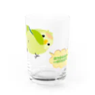 ぽぽりす@ぶんちょ組のおちりコザクラインコ（薄緑） Water Glass :front