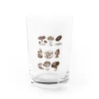 Haruka NishiyamaのNatural history #1  Mushrooms Water Glass :front