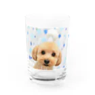 Titaniaのわんこ Water Glass :front