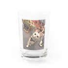 AOI(26)のねこたゃん Water Glass :front