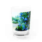 Tesoroの雨の蒼 Water Glass :front