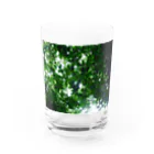 Tesoroの光の葉 Water Glass :front