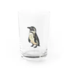 moc webshopのフンボルトペンギン グラス前面