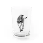 むぎのシマウマ Water Glass :front