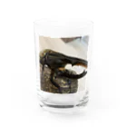 Kanjiのヘラクレスヘラクレス Water Glass :front