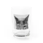 first_firmamentの般ニャ Water Glass :front