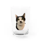 アトリエみけこのぼたんちゃん　その1 Water Glass :front