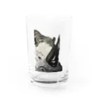 kita nobuwaの犀（SAI） Water Glass :front