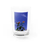 They call me"sambo"のひまわり Water Glass :front