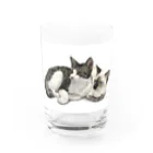 kinako-japanの七之助ちゃん心七ちゃん Water Glass :front