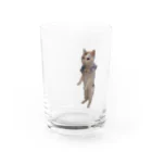 りずママの立ち猫華っち Water Glass :front